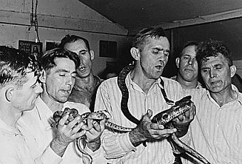 snake-handling-pastor-dies-of-snake-bite-T-ZnUAMg