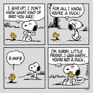 10003230_10153283879274260_207348362023214478_n