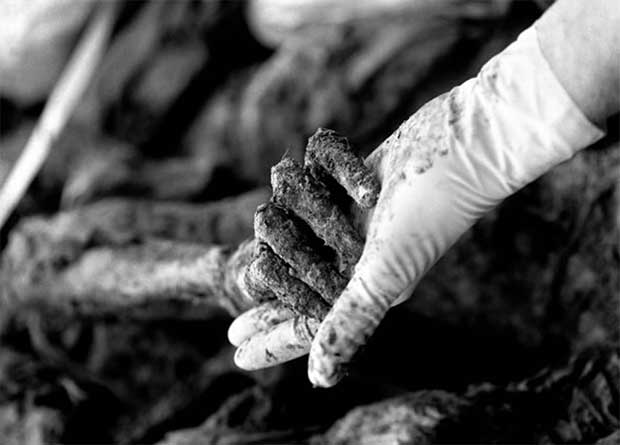 Tarik_Samarah_ruka_u_ruci