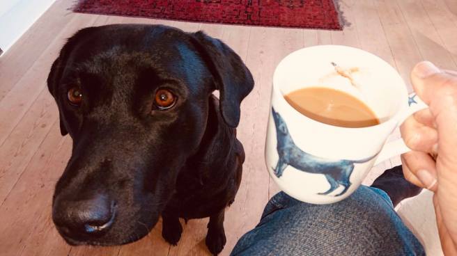 43952771_140217453605088_8063588931150544896_o